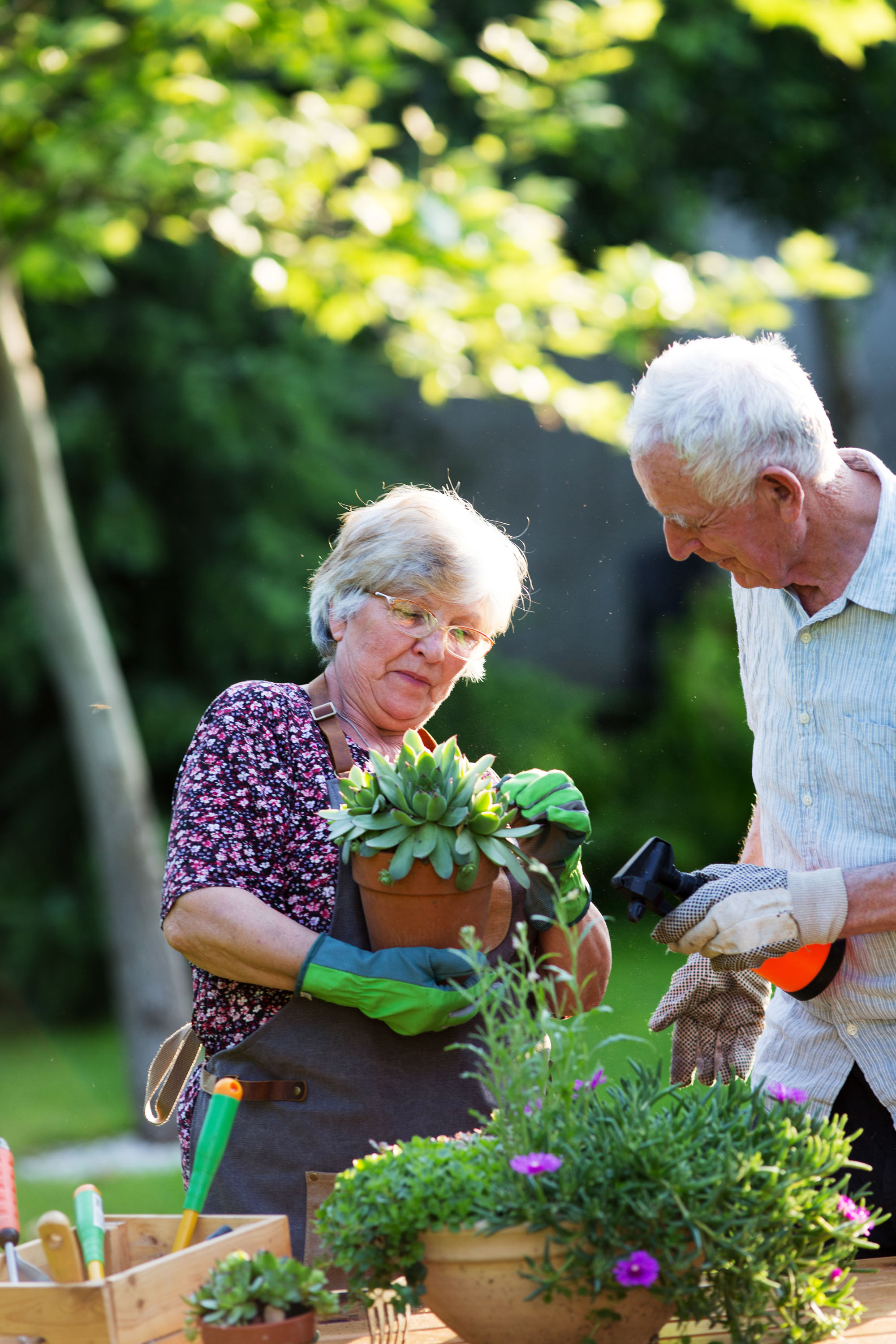 Couple gardening together