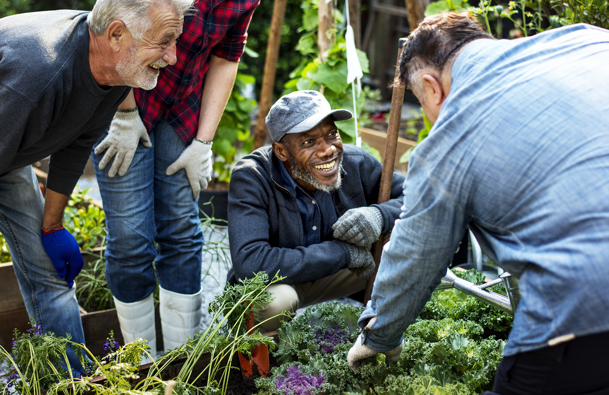 People Gardening Together
