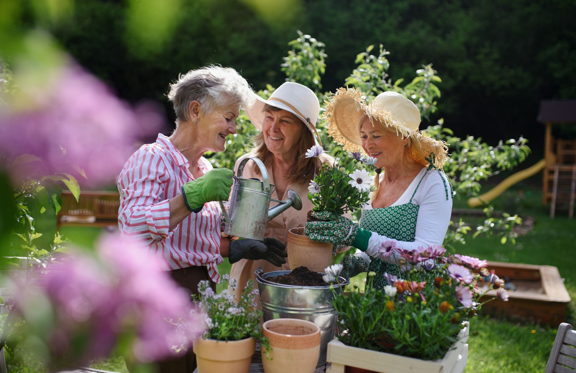 Women gardening.